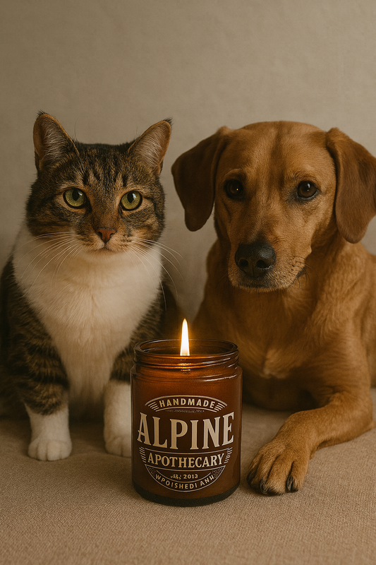 What Makes Our Candles Pet Safe