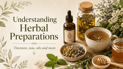 Herbal Vocabulary: 10 Common Herbal Preparations and Why They Are Used - Alpine Apothecary