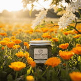 Alpine Botanical Hand Cream - Alpine Apothecary