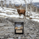 Alpine Granite Soap - Alpine Apothecary