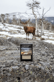 Alpine Granite Soap - Instinks