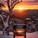 Alpine Sunset Soap - Alpine Apothecary