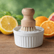 Dish Soap - Alpine Citrus - Alpine Apothecary
