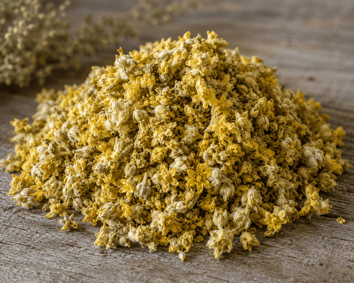 Mullein Flowers - Alpine Apothecary