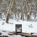 Snow Gums Soap - Alpine Apothecary