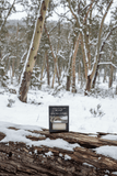 Snow Gums Soap - Instinks