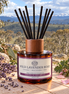Wild Lavender Rose Reed Diffuser - Alpine Apothecary